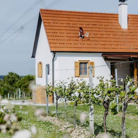 Urlaub Im Kellerstoeckl Dunst Apartment Strem Стая снимка