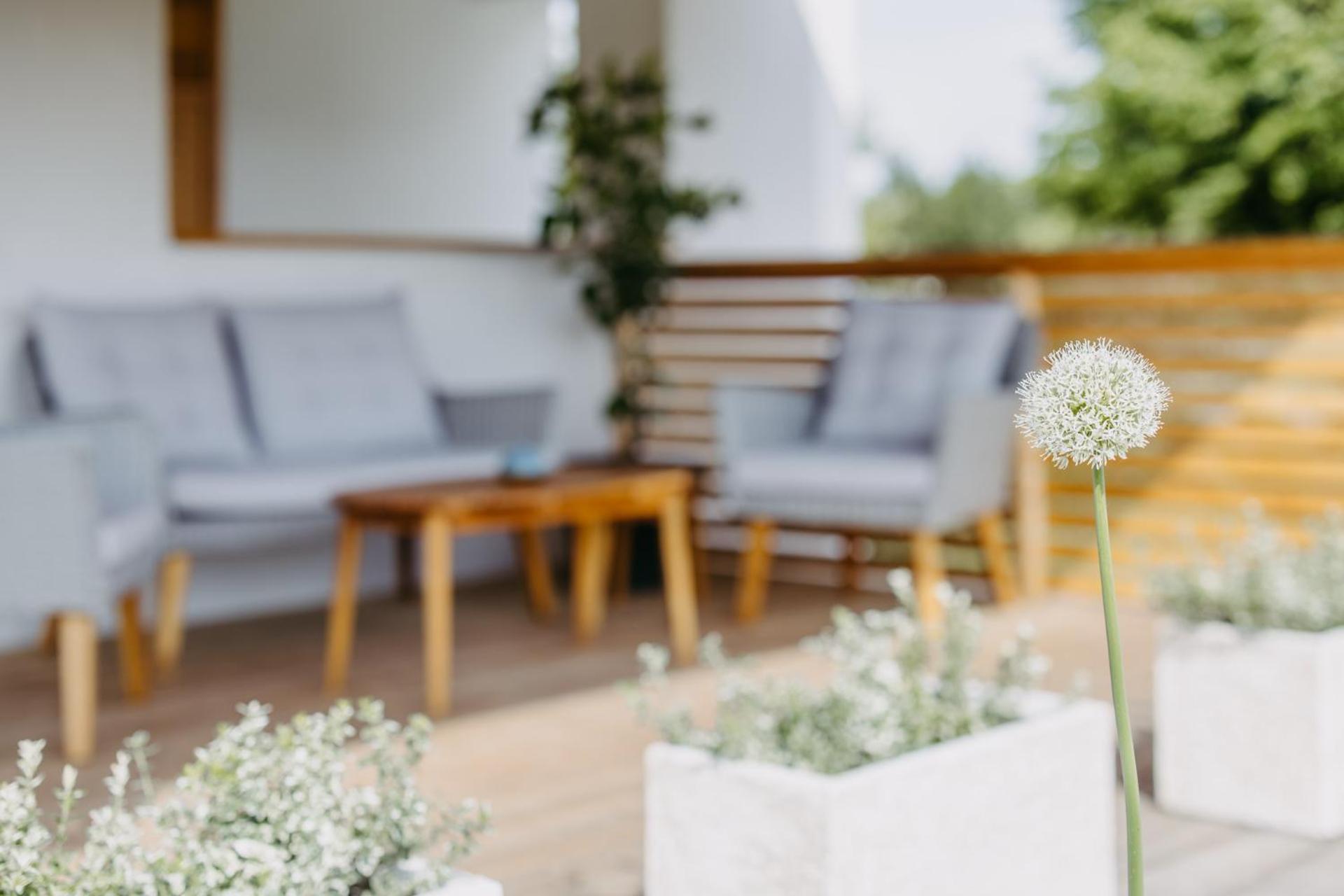 Urlaub Im Kellerstoeckl Dunst Apartment Strem Стая снимка