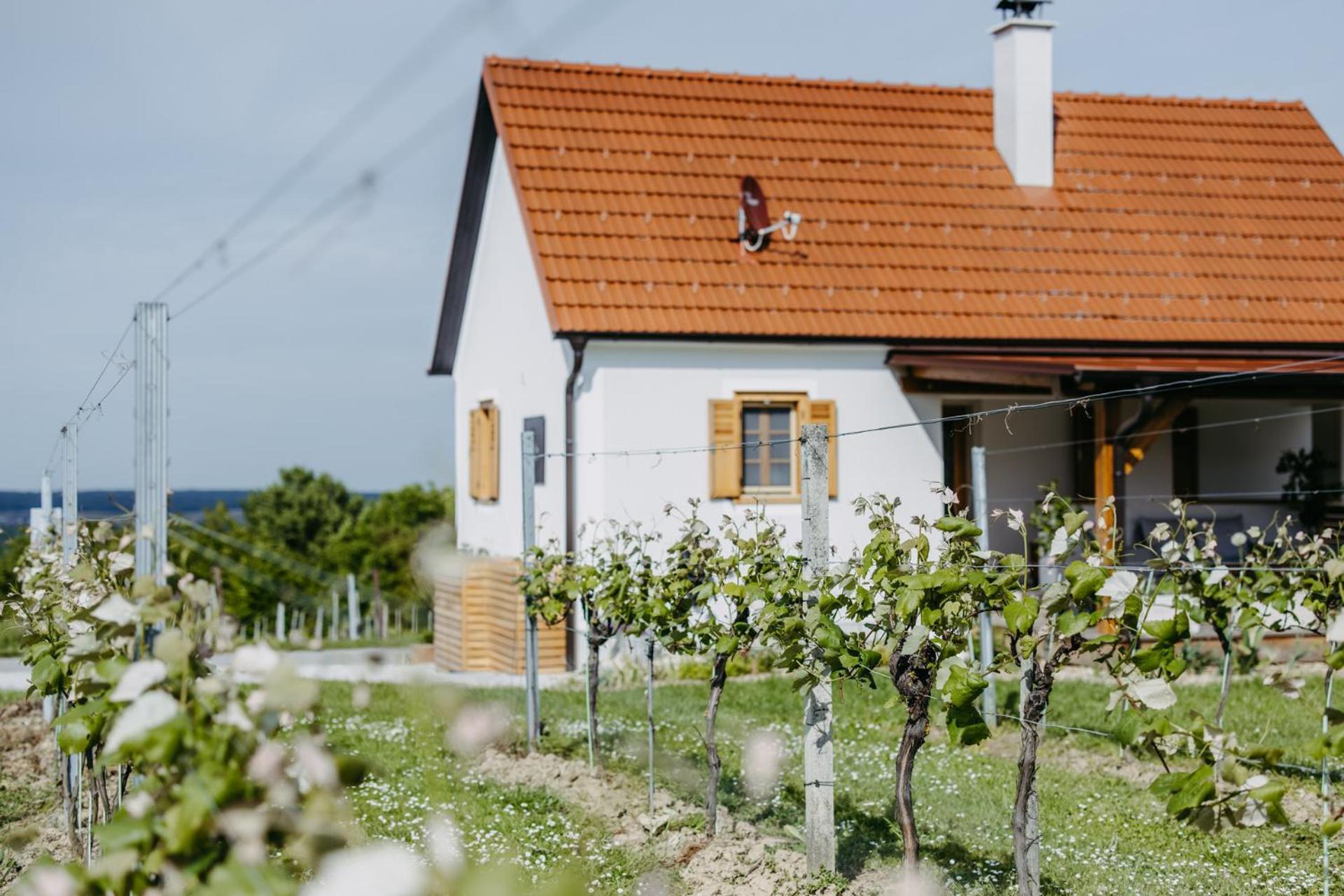 Urlaub Im Kellerstoeckl Dunst Apartment Strem Стая снимка