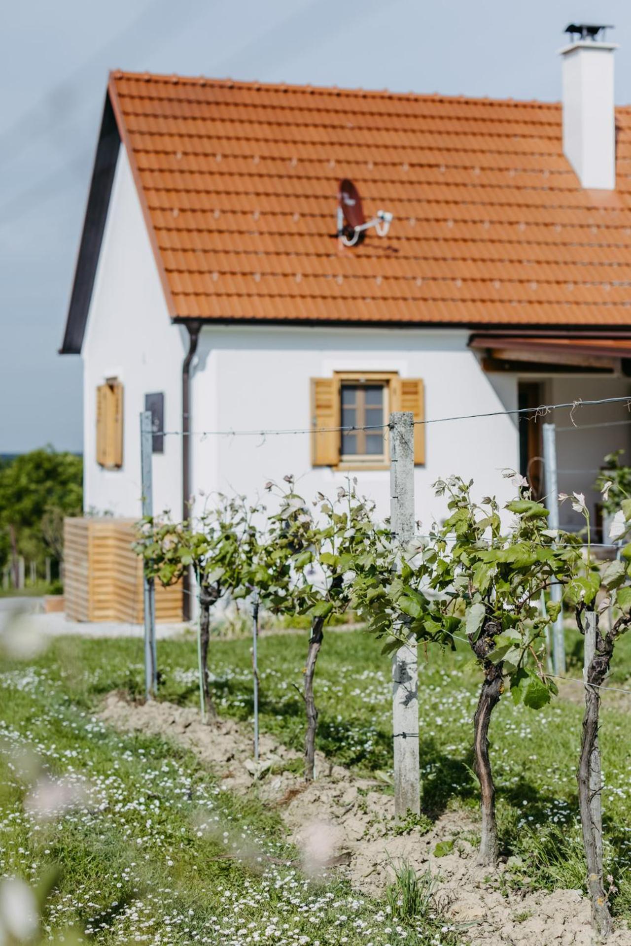 Urlaub Im Kellerstoeckl Dunst Apartment Strem Стая снимка