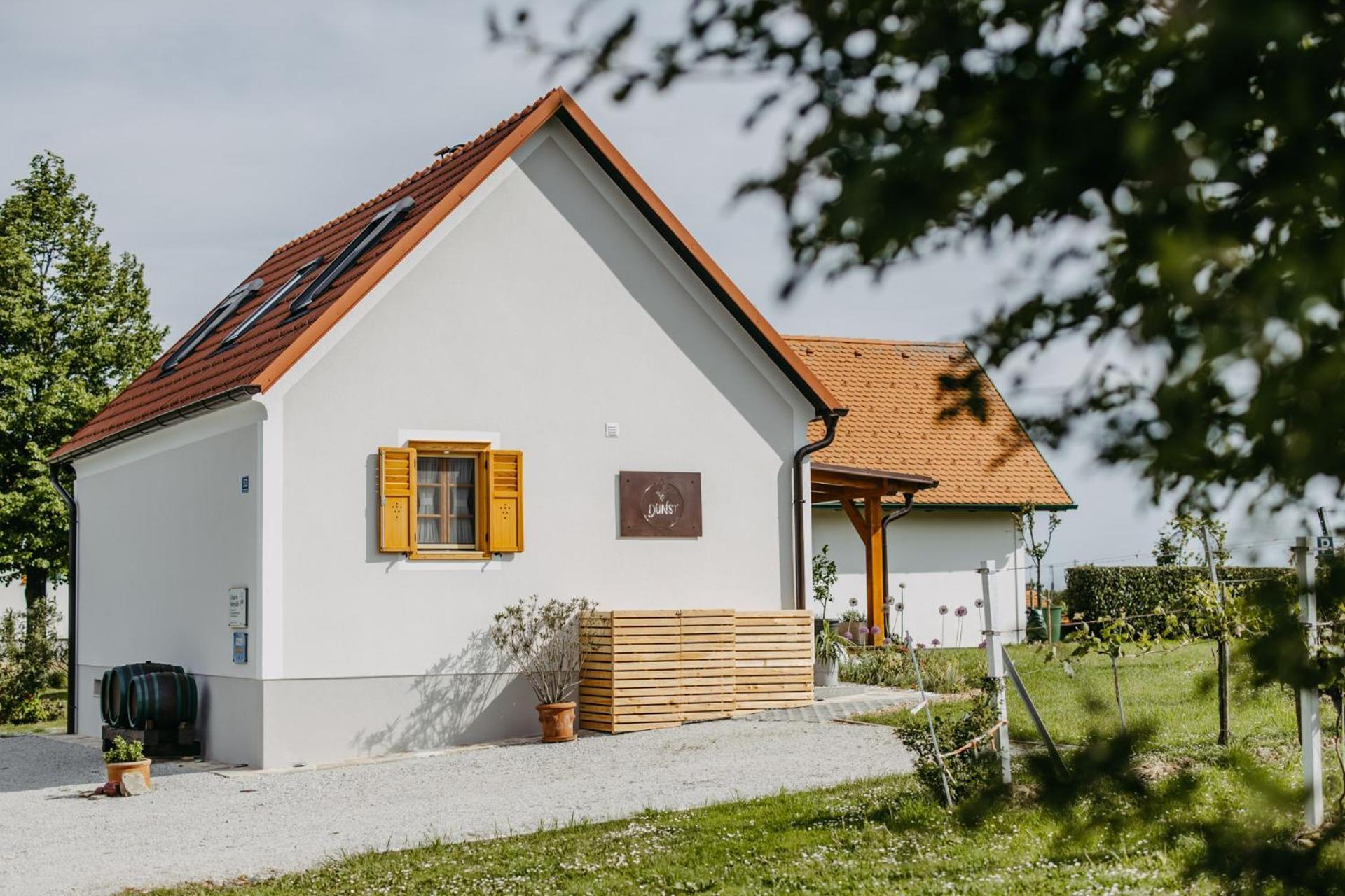 Urlaub Im Kellerstoeckl Dunst Apartment Strem Стая снимка